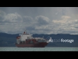 Container Ship Napier 3 1833